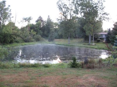 The Green Acre Quest Image